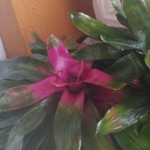 Meet your Posher, Cristina